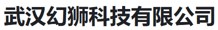 武汉幻狮科技有限公司